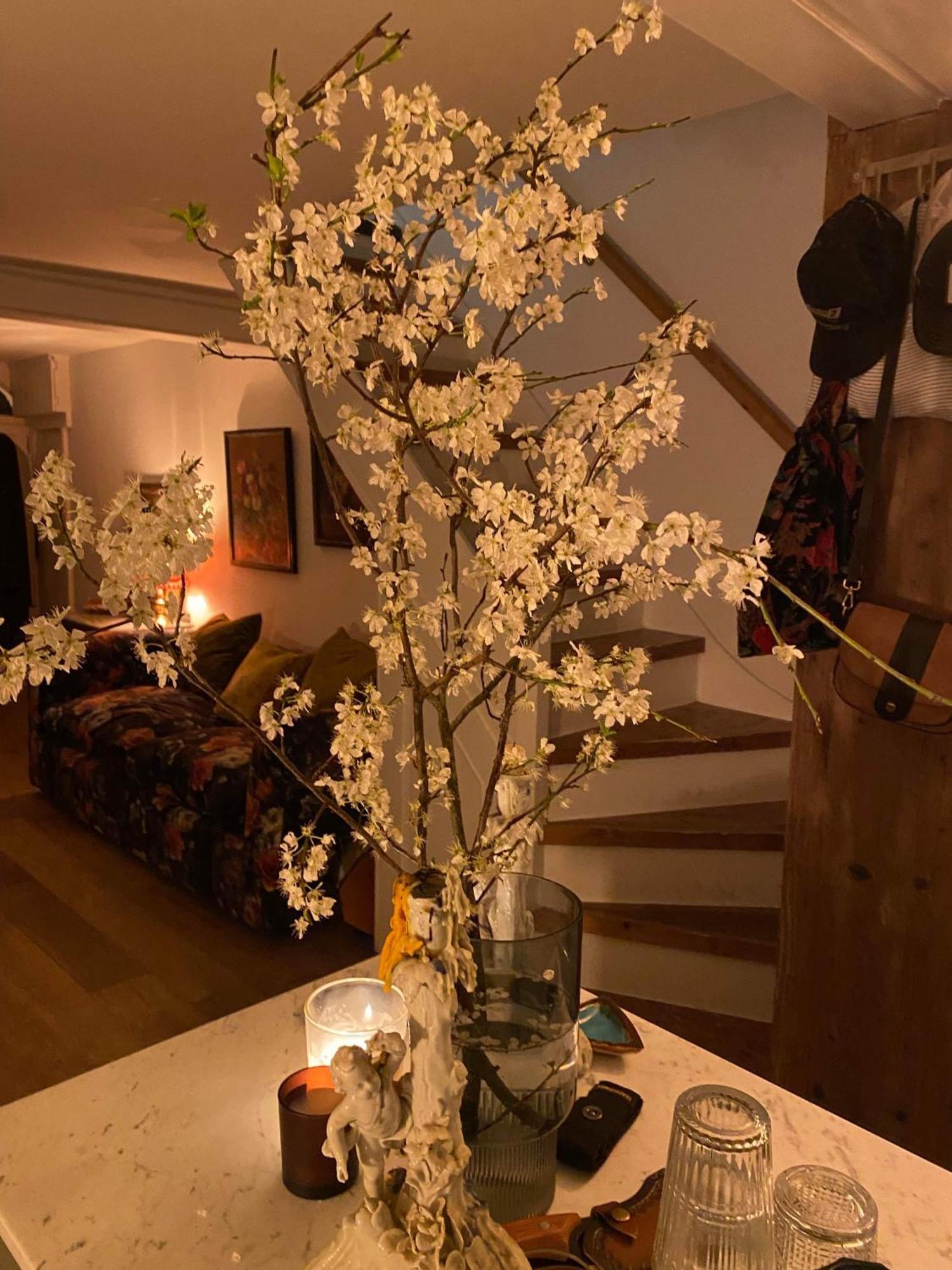 Stylish & Cosy Boutique Townhouse 1 Bedroom, 1 Sofa Bed - Sleeps 4 クライストチャーチ エクステリア 写真